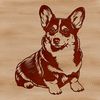 A sitting dog with a short stature and erect ears, typical of the Welsh Corgi breed.