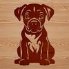 Cute Sitting Boxer Breed Dog A sitting dog breed with a distinctive face and ears.