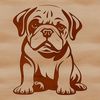 A cartoon bulldog sitting on its haunches, suitable for vector design projects.