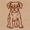 A standing Boxer dog with a calm expression.