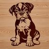 Cute Boxer Illustration A stylized illustration of a sitting Boxer dog breed.