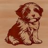 Portrait of a Havanese puppy in a relaxed pose.