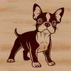 Cute Small Breed Canine Standing Up A small breed dog standing on its hind legs, with a friendly expression.