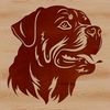 A large breed dog with a distinctive black coat and tan markings.