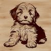 Free Vector Image of a Cute Sitting Dog A small breed dog sitting on its hind legs with a fluffy coat.