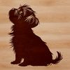 Illustration of a sitting Shih Tzu dog breed in vector format.