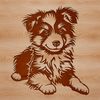 A small breed dog with a gentle expression lies on its side, characteristic of the Shetland Sheepdog.