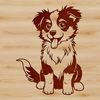 Shepherd Dog Breed Illustration Australian Shepherd dog breed illustration, vector graphic artwork