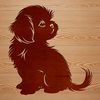 A sitting dog breed with long fur, commonly kept as a pet.