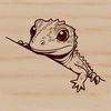A close-up illustration of a reptile peeking out from behind a rock.