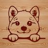 Japanese Dog Breed Character Design A small to medium-sized dog breed with a distinctive fox-like head and curly tail, typical of the Shiba Inu.