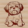 A small sitting dog with a curly coat and friendly expression.