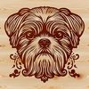 Beautiful Shih Tzu Headshot Design Illustrated headshot of a Shih Tzu dog breed, suitable for vector design and digital cutting machine projects.