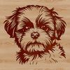 A cute Shih Tzu dog's head with its distinctive features.