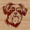 A cute, furry breed of dog with a flat face and long hair.