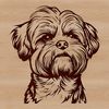 A close-up illustration of a Shih Tzu's head with fluffy fur.