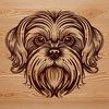 Friendly Face Vector Graphic A vector graphic illustration of the head of a Shih Tzu dog.