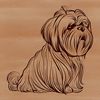 Shih Tzu Portrait Art A portrait of a Shih Tzu dog sitting on a background.