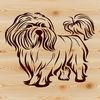 A standing adult Shih Tzu dog in a simple design format.