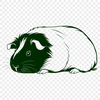 Cuddly Rodent Illustration A small rodent with distinctive fur pattern.