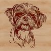 A vector illustration of a Shih Tzu's head, suitable for use in digital designs.