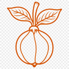 A vector illustration of a radish in high detail, suitable for commercial or personal use.
