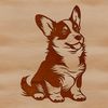 Friendly Welsh Breed A small-sized dog breed, the Welsh Corgi sits on its hind legs with a friendly demeanor.