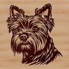 Yorkshire Terrier Close-Up Illustration A close-up illustration of a small Yorkshire Terrier's head with details on the face and fur.