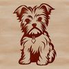 A small breed dog sitting upright with its front paws together.