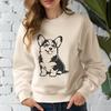 Cute Welsh Corgi - For Animal Project