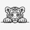 Peeking Tiger Clipart