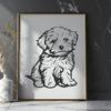 Beautiful Havanese - Craft PDF Free Download