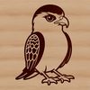 Free Falcon SVG Download with Commercial Use A detailed illustration of a bird's profile, specifically a falcon's silhouette in vector format.