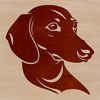 A close-up illustration of a dog's head with distinctive features characteristic of the Dachshund breed.