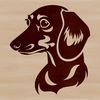 Illustrative vector art of a Dachshund's head and body.