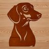 A cute Dachshund breed dog sitting on its hind legs with a flat head.