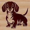 Cute Long-Legged Canine Companion A small breed dog with a long body and short legs standing upright on its hind legs.