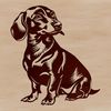 A small, playful dachshund breed sitting on its hind legs.
