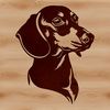 Dachshund Portrait Vector Illustration A vector illustration of a Dachshund's head with distinctive features.