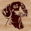 Dachshund Face Illustration A cartoon-style illustration of a dachshund's head, suitable for vector design.
