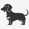 Standing Dachshund PNG - Illustration For Commercial Use