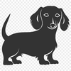 Stunning Standing Dachshund Illustration