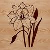 Daffodil Blossom Graphic An isolated graphic representation of a blooming daffodil plant.