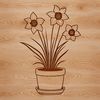Beautiful Spring Bloom in a Small Pot A single white daffodil stem with bright yellow trumpet-shaped flowers growing in a small ceramic pot on a natural surface.