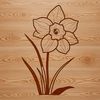 White Daffodil Botanical Art A single white daffodil flower with yellow trumpet-shaped center and green leaves against a transparent background.