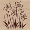 Natural Floral Element Design A single daffodil flower with white petals and yellow center, illustration of a natural plant element.