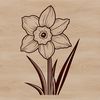 Bloom Illustration A detailed illustration of a daffodil flower with trumpet-shaped petals.