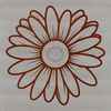 Delicate Daisy Bloom A single daisy flower with white petals and a yellow center.