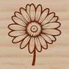 Beautiful Yellow Centered Flower Close-up illustration of a daisy flower with white petals and yellow center, suitable for vector design.