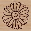Delicate Daisy Icon in Clean Lines An isolated vector graphic representation of a single daisy in a clean line style.